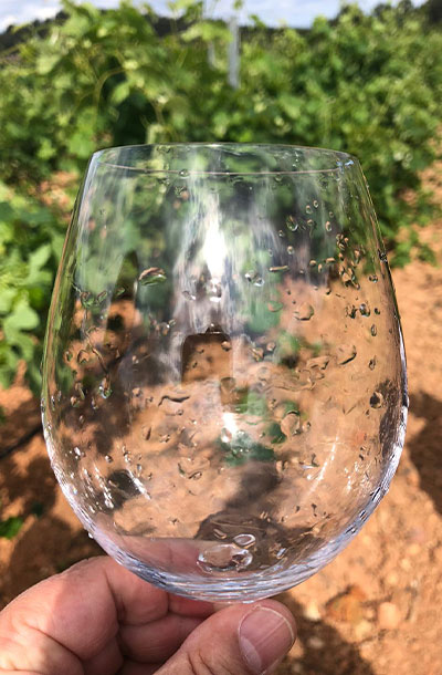 winery-57